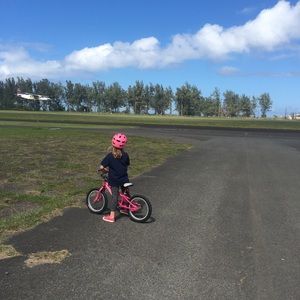 Meet your Posher, Elsie